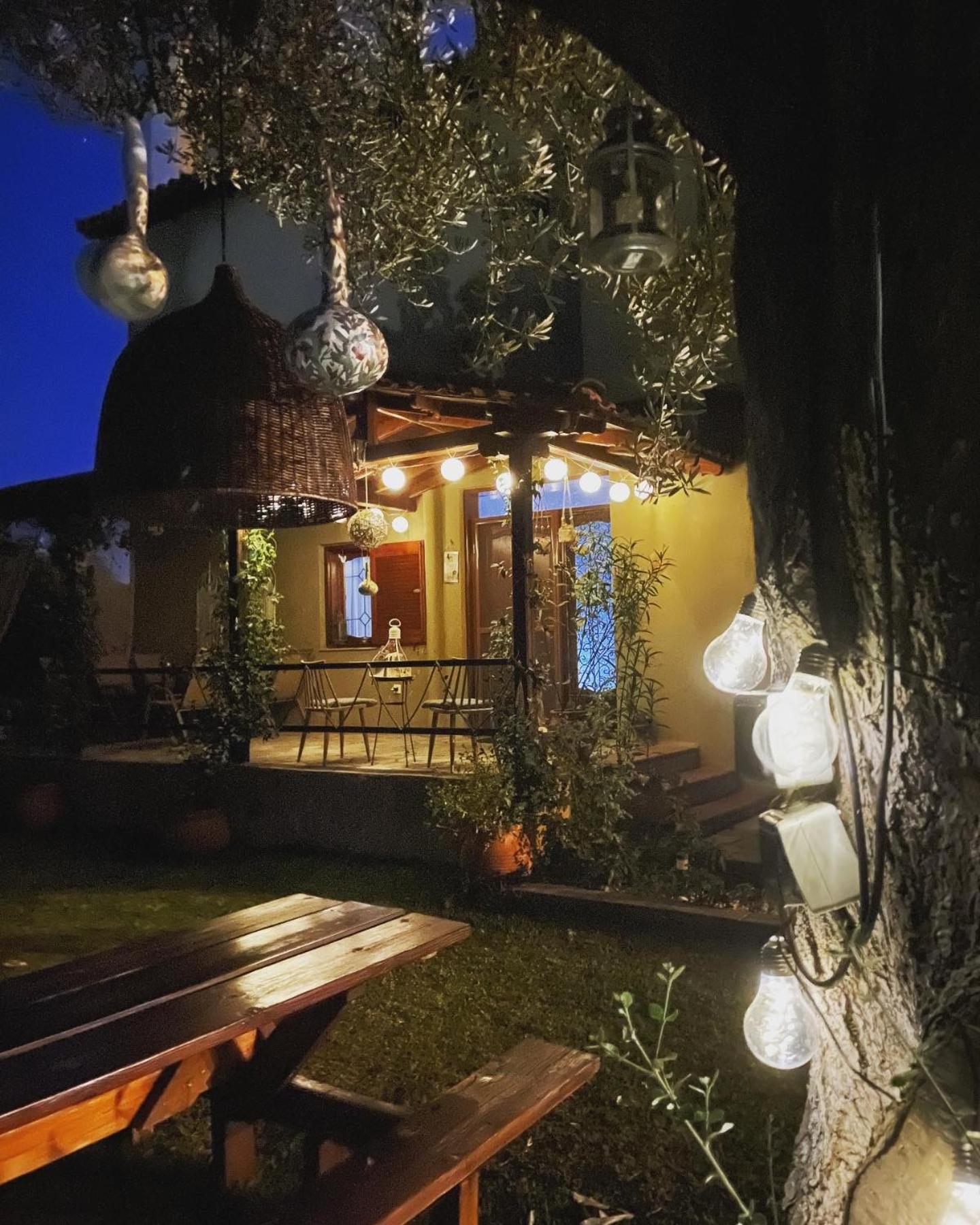 Vintage Home 尼基季 外观 照片
